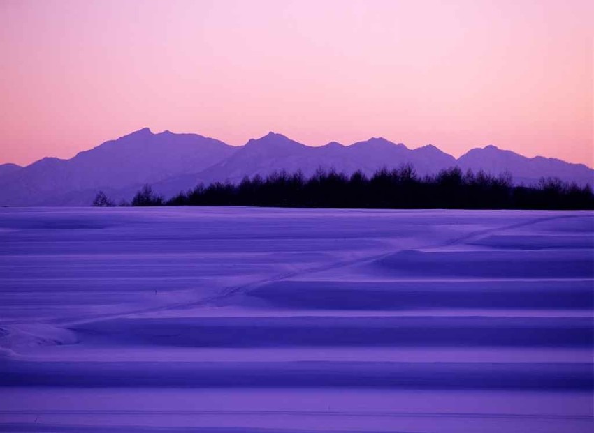 Furano and Biei (Hokkaido) = Area with the most popular flower gardens in Japan. Lavender fields in summer are the best!