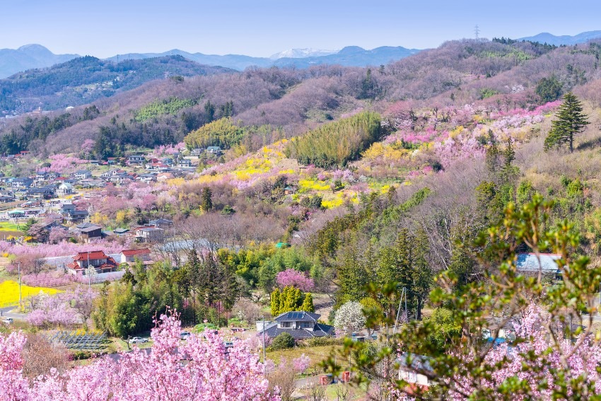 Hanamiyama Park