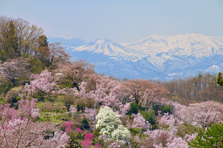 Hanamiyama Park