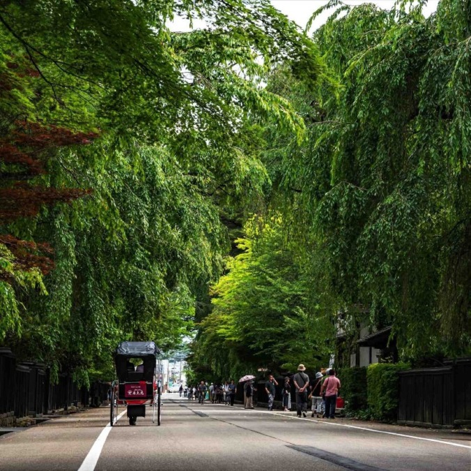 Greenery of Kakunodate Buke Yashiki