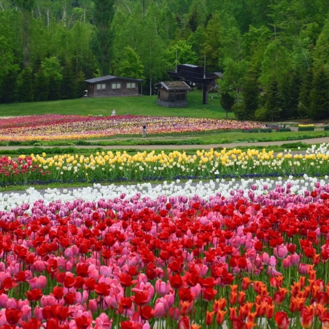 Takino Suzuran Hillside Park