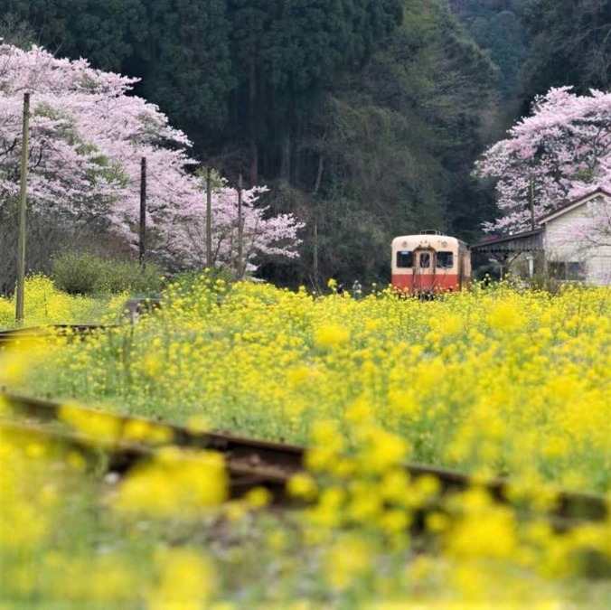 kominato Railway/Isumi Railway