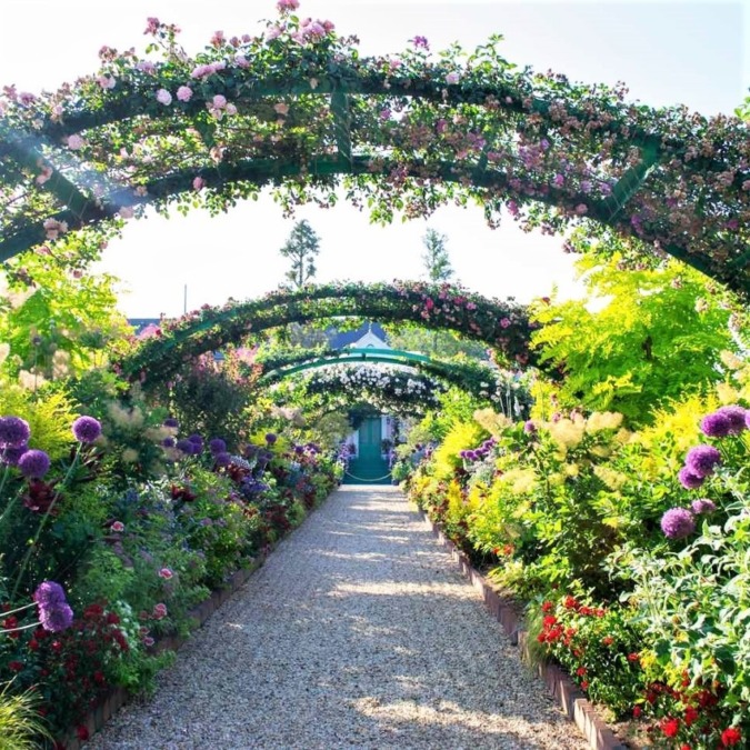 浜名湖ガーデンパーク 静岡県 4月中旬 下旬 ネモフィラが咲くころが見頃 お花畑モンスター