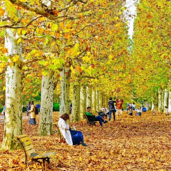 Scenery of Shinjuku Gyoen