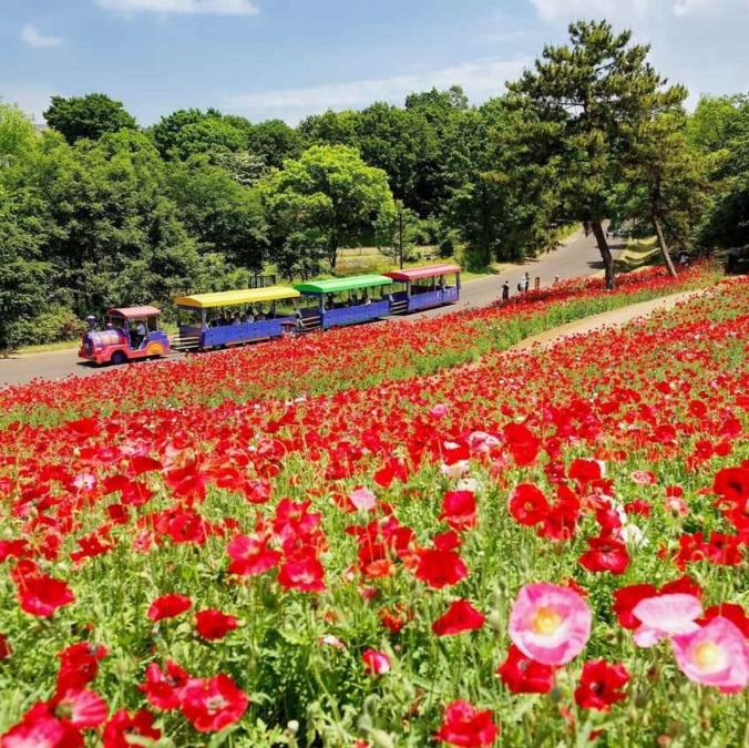 Showa Kinen Park