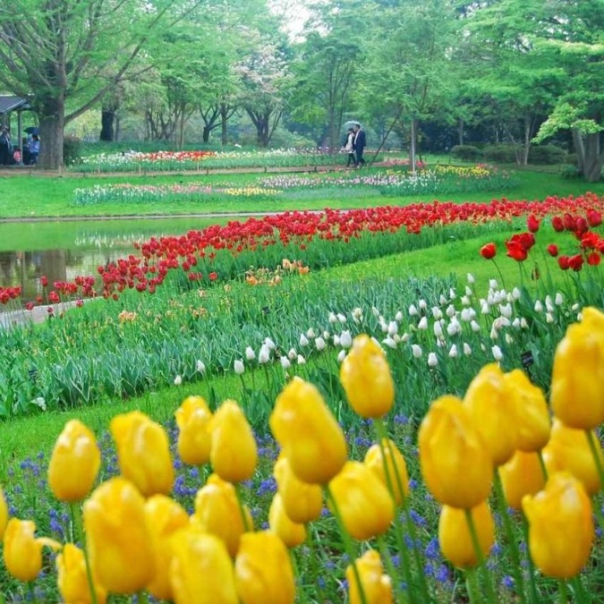 Showa Kinen Park