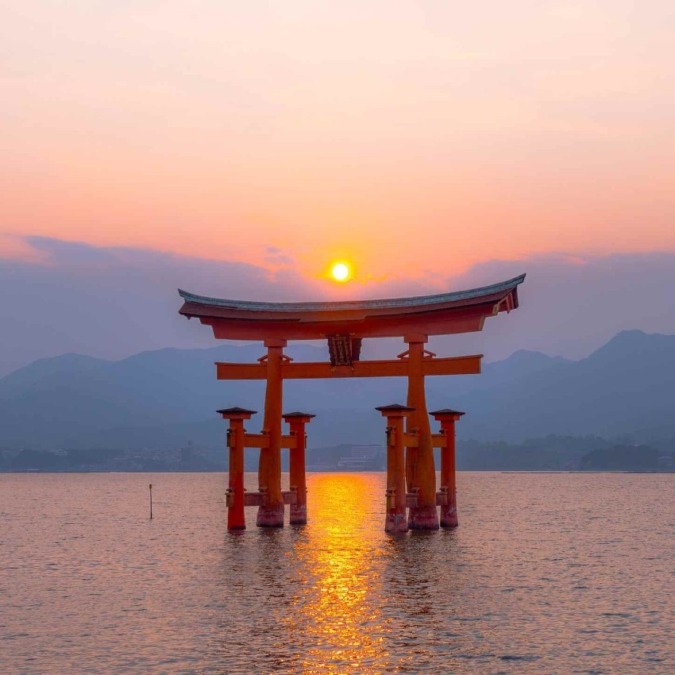 Cherry blossoms at Miyajima