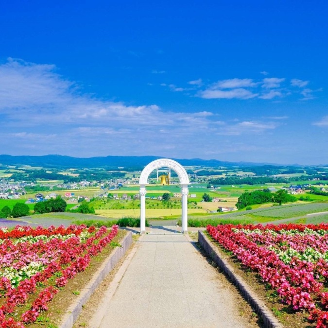 Hinode Park Lavender Garden