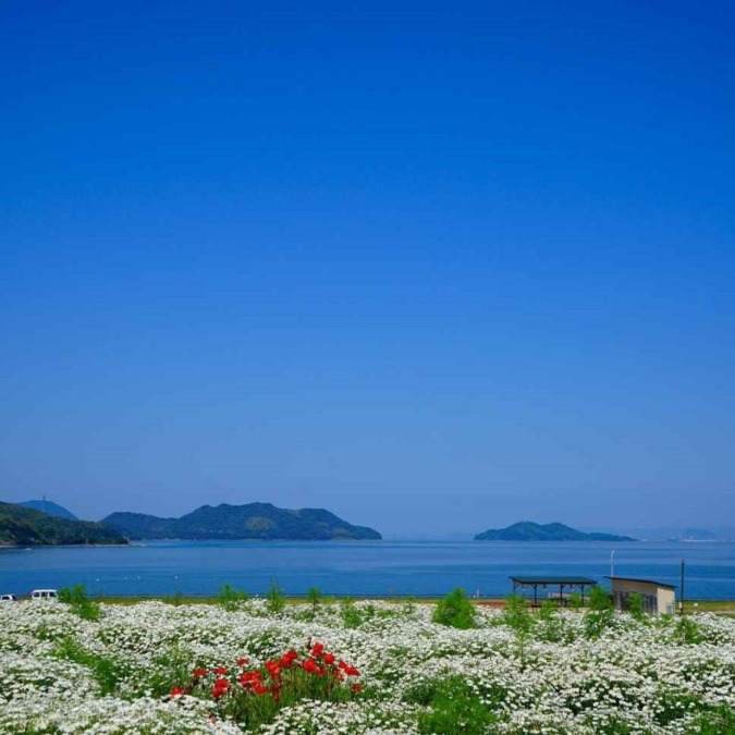 Margaret at Flower Park Urashima