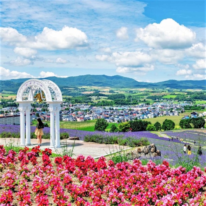 日の出ラベンダー園 北海道 6月下旬 8月上旬 愛の鐘 が人気 上富良野の絶景ラベンダー畑 お花畑モンスター