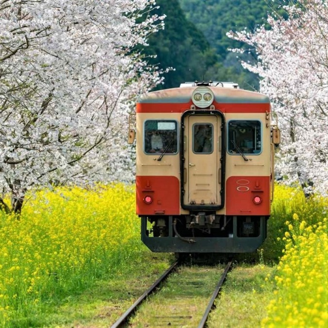 kominato Railway/Isumi Railway