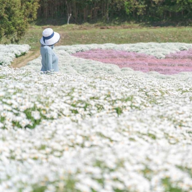 Margaret at Flower Park Urashima