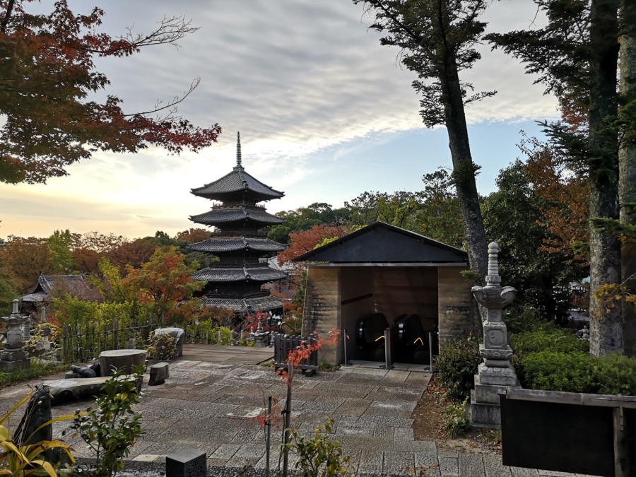 八事霊園 愛知県 お花畑モンスター