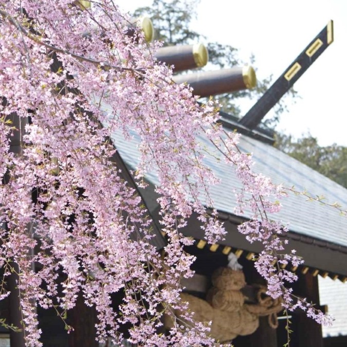 Hokkaido-Jingu Shrine