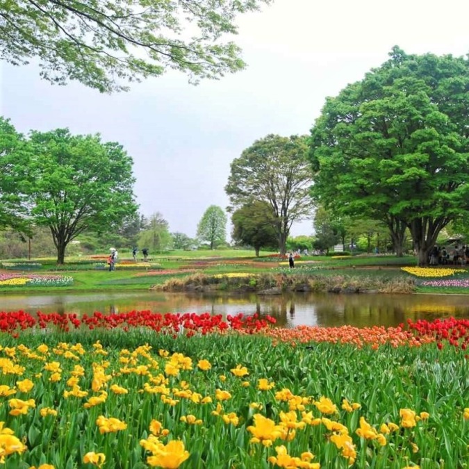 Showa Kinen Park