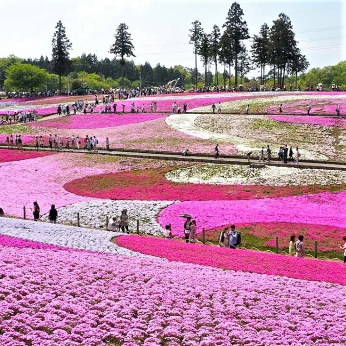 Hitsujiyama Park