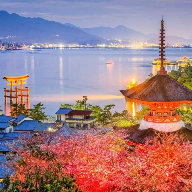 Cherry blossoms at Miyajima