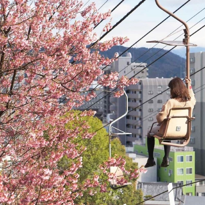 Cherry blossoms at Matsuyama Castle