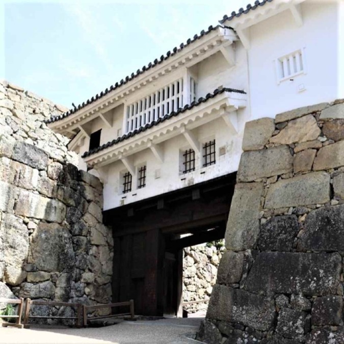 Cherry blossom scenery of Himeji Castle