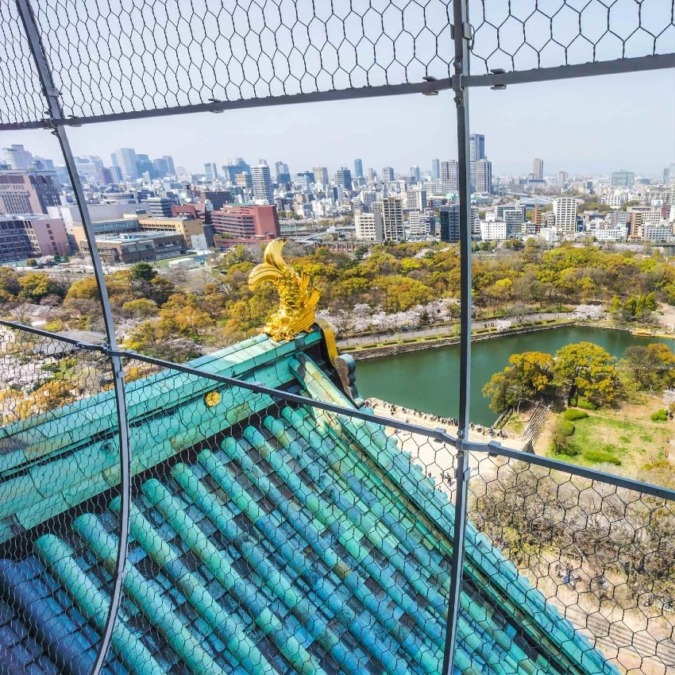 Cherry blossoms in Osaka Castle Park