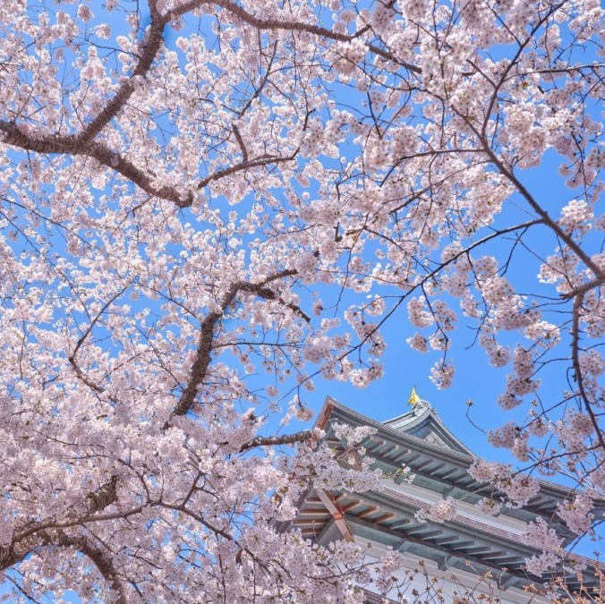 Matsumae Castle