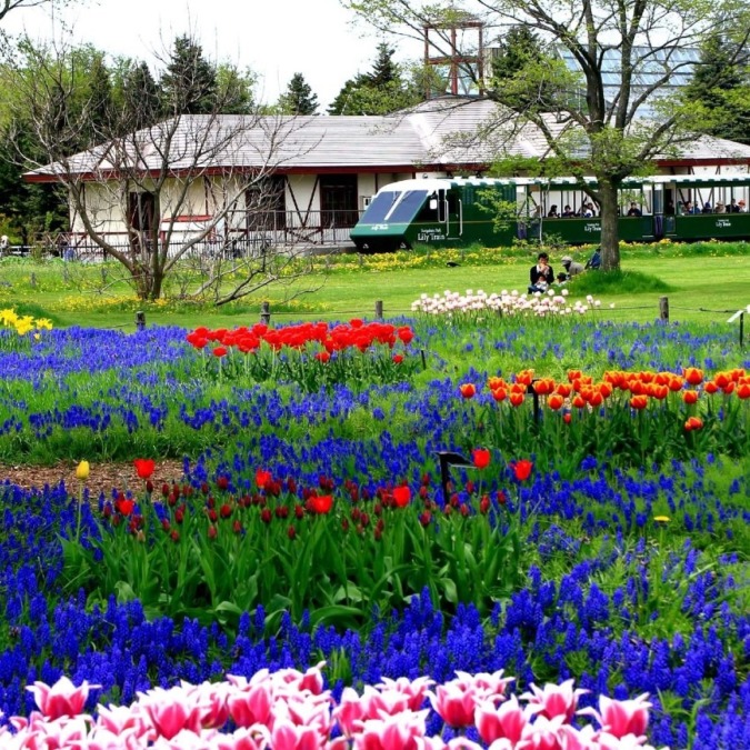 Lilies of the valley park