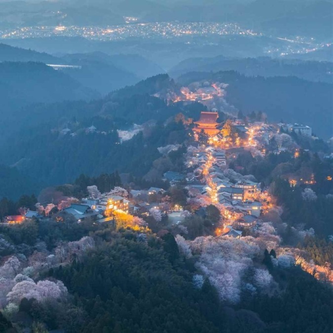 Beautiful cherry blossom scenery of Yoshinoyama