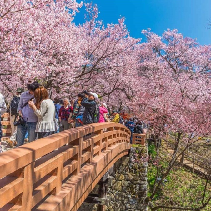 Takato Joshi Park