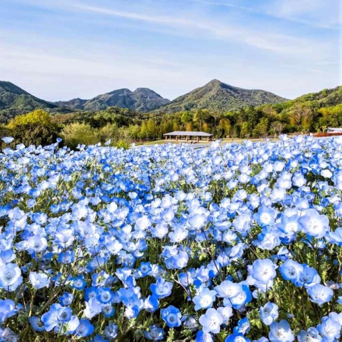 Sanuki Manno Park