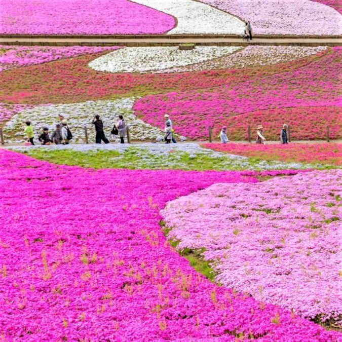 Hitsujiyama Park