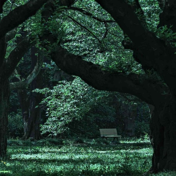 Scenery of Shinjuku Gyoen