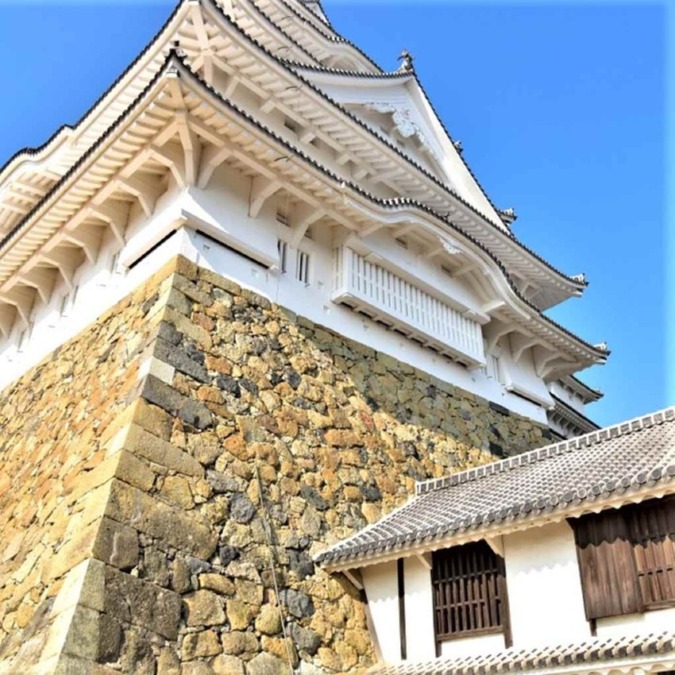 Cherry blossom scenery of Himeji Castle