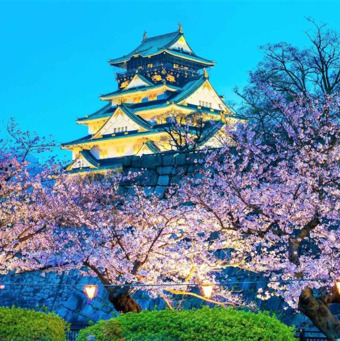 大阪城公園 大阪市 3月下旬 4月上旬 大阪の桜の名所 天守閣からの眺めも凄い お花畑モンスター