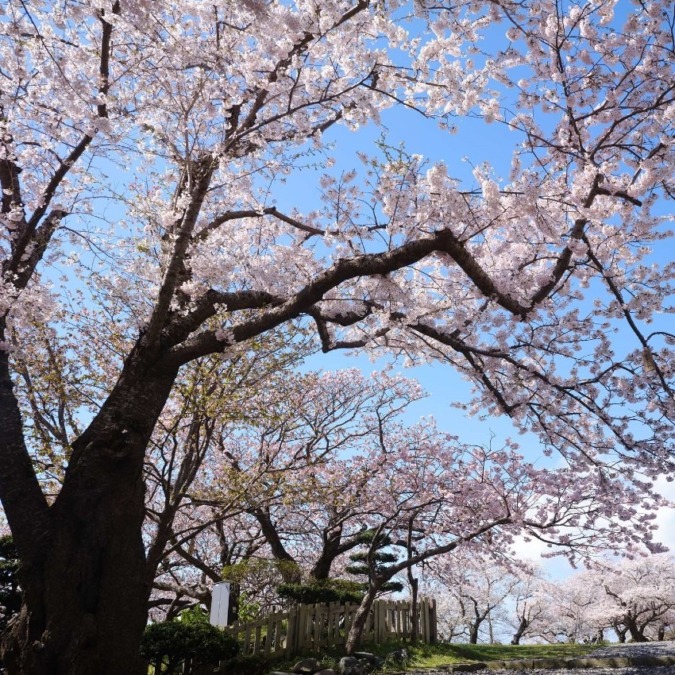 Matsumae Castle