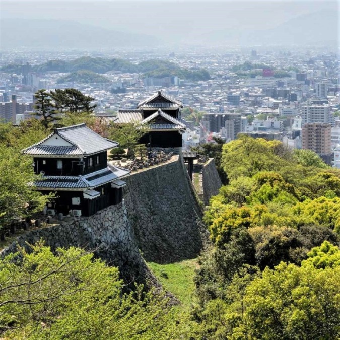 Cherry blossoms at Matsuyama Castle