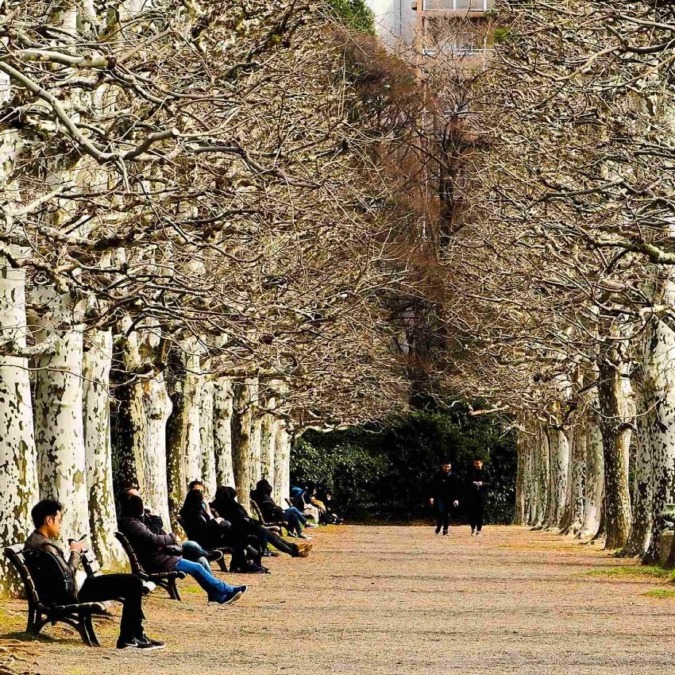 Scenery of Shinjuku Gyoen