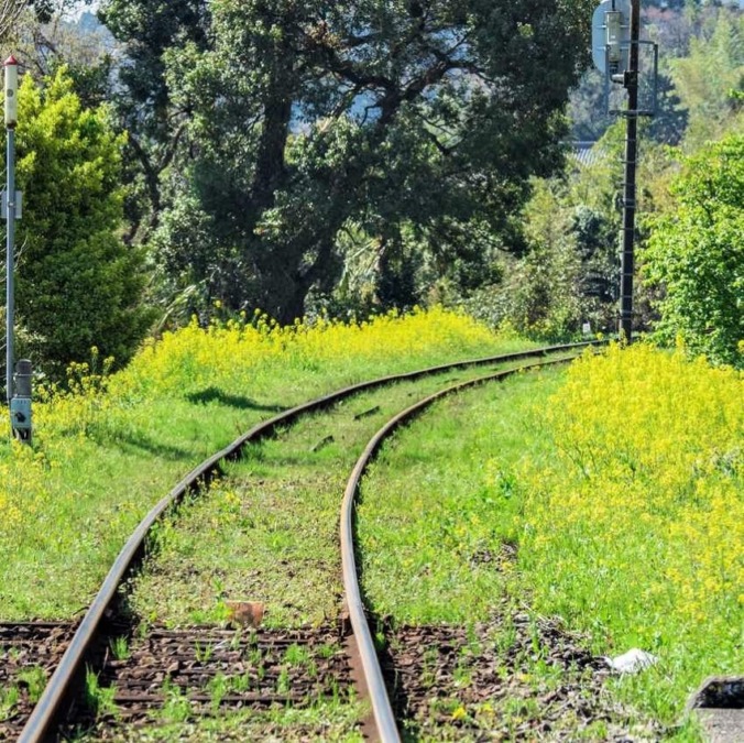 kominato Railway/Isumi Railway