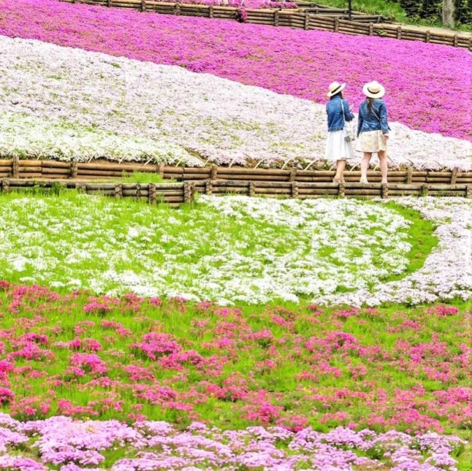 Hitsujiyama Park