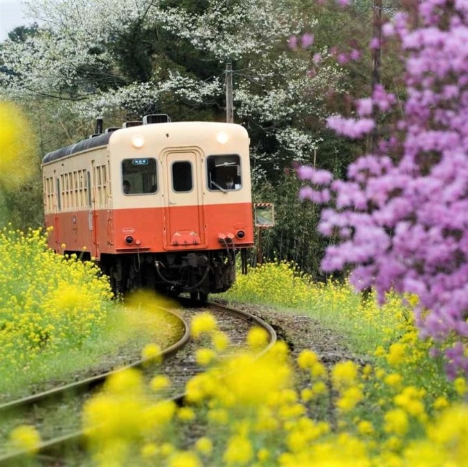 kominato Railway/Isumi Railway