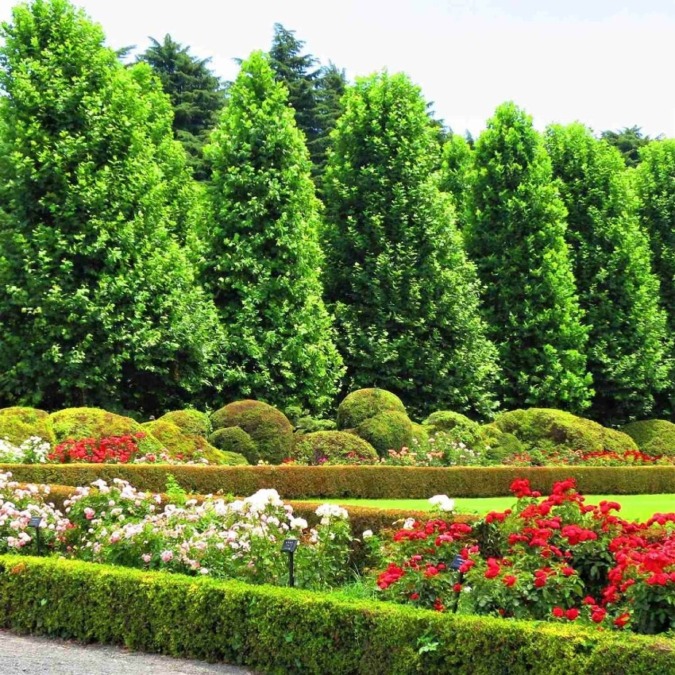 Scenery of Shinjuku Gyoen