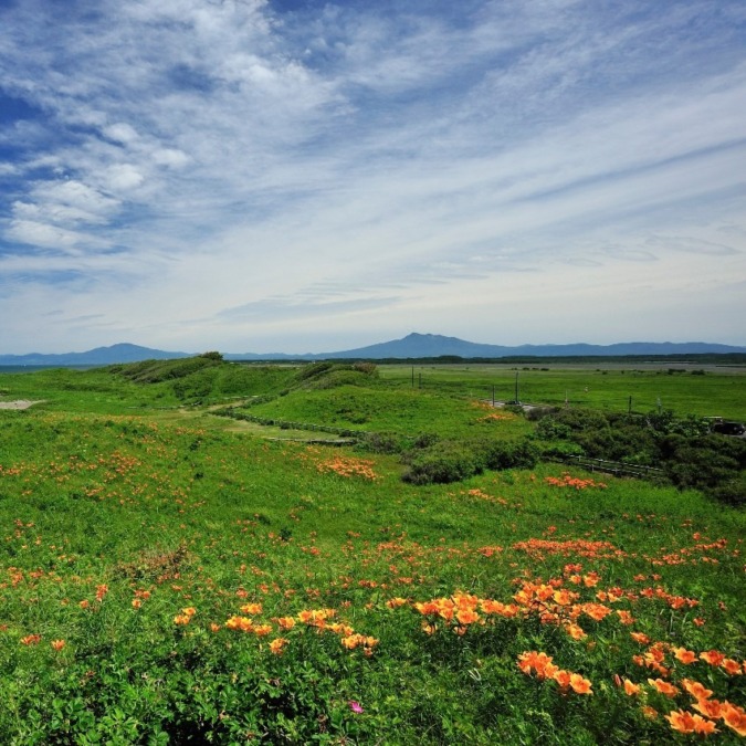 Koshimizu Wild Flower Garden