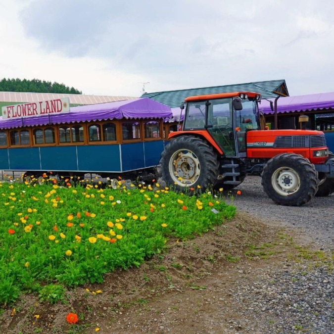 Flowerland Kamifurano