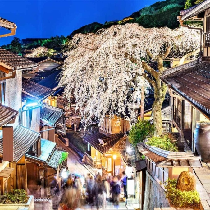 Cherry blossoms in Kyoto