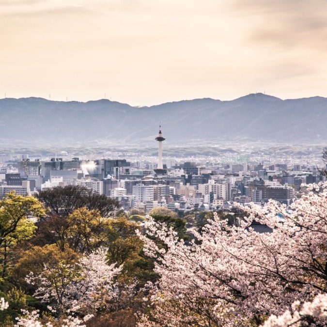 Cherry blossoms at Kiyomizu-dera Temple (Kyoto City)