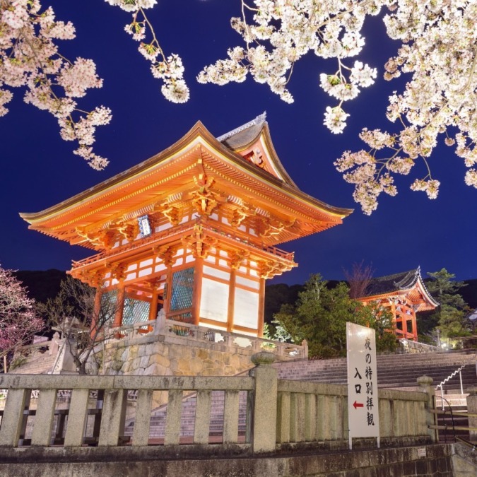 Cherry blossoms at Kiyomizu-dera Temple (Kyoto City)