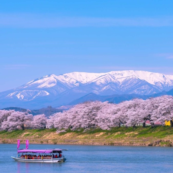 Hitome Senbonzakura, Shiraishi River, Miyagi