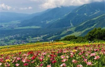 Hakuba Village (Nagano)