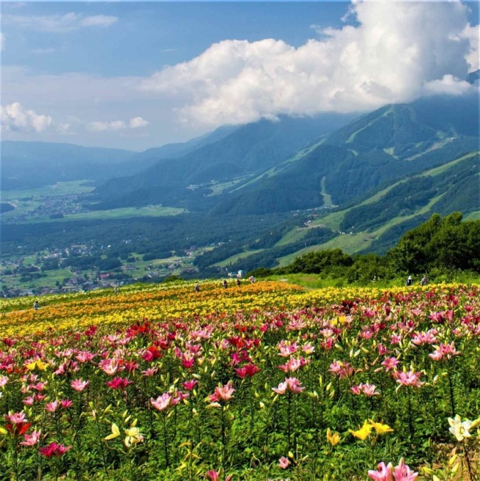 Hakuba Village (Nagano)