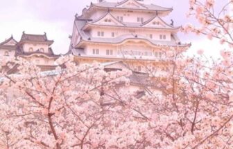 Himeji Castle (Hyogo)