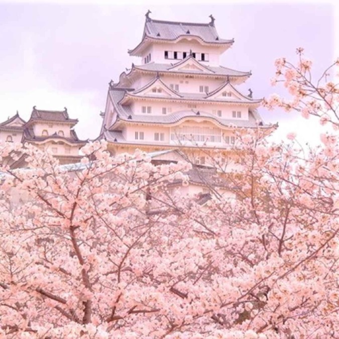 Himeji Castle (Hyogo)